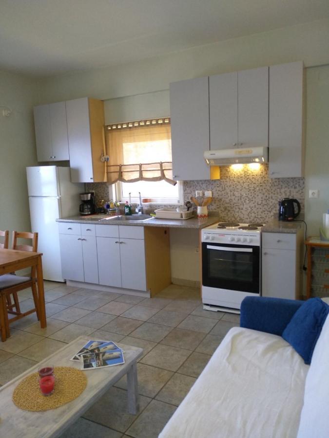 Stergios Apartment إفديلوس المظهر الخارجي الصورة